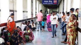 The state government-run Dr Shankarrao Chavan Government Medical College and Hospital in Nanded, where 31 patients tragically lost their lives within a 48-hour period, is grappling with a substantial staff shortage.