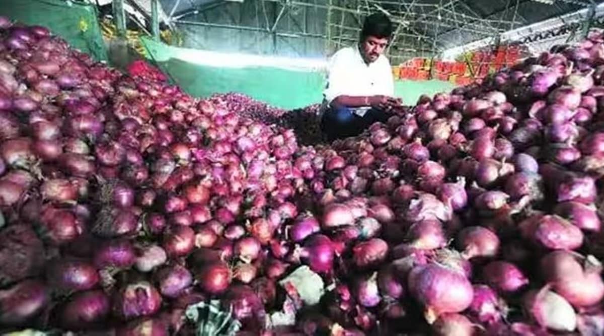 nashik onion traders strike