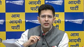 raghav chadha, delhi hc, indian express