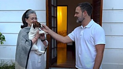 Sonia Gandhi Xxx Video - AIMIM leader moves court against Rahul Gandhi, says pet dog's name 'Noorie'  hurts his religious sentiment | India News - The Indian Express