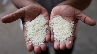 Govt routes sale of non-basmati white rice to 11 nations via NCEL