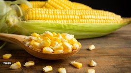 Understand the health benefits of sweet corn. (Source: Freepik)