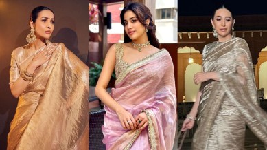 tissue sari, indian sari, festive wardrobe, celeb fashion