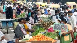 vegetable inflation, Crisil report, Indian economy, consumer price index, cpi vegetable inflation, rating agency, inflation, CPI inflation, indian express news