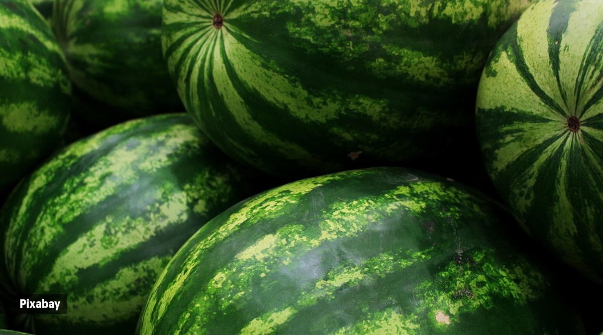 watermelon