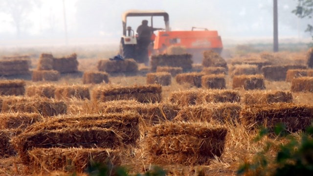 2,500 fresh farm fires push Punjab tally beyond 33,000-mark; state sounds red alert