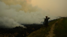 A labourer burns paddy stubble near Patiala on Thursday. Harmeet Sodhi Action after SC rap: Farm fires drop by 68% in 24 hrs