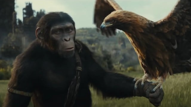 Kingdom of The Planet of The Apes trailer: Humans face extinction with ...