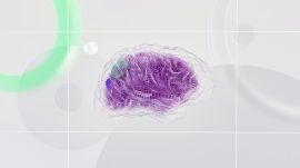 artistic illustration of a human brain