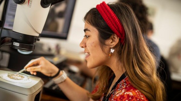 Unlocking Your Path to Studying in the UK: Leveraging Scholarships for International Students