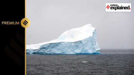An iceberg floats near at Bransfield Strait shore, Antarctica, Wednesday, Nov. 23, 2023.