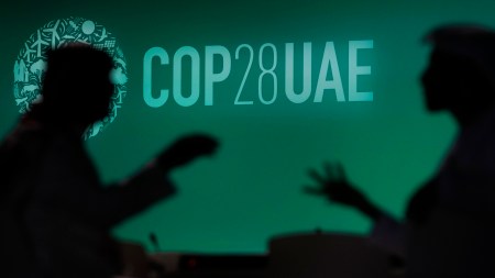 cop28, cop 28, dubai