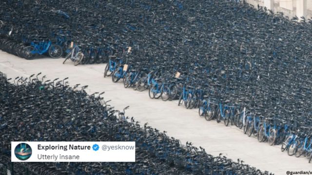 China's bike graveyard.