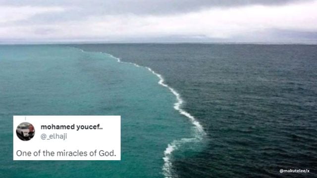 What Two Oceans Meet But Don T Mix Check out ‘the end of the world’ in Denmark where two seas meet but