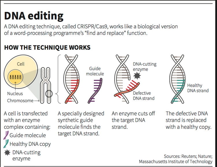 CrispR map
