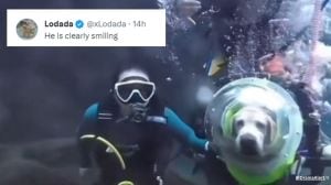 Deep-sea diving video of dog goes viral.