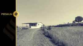 Mumbai drug business