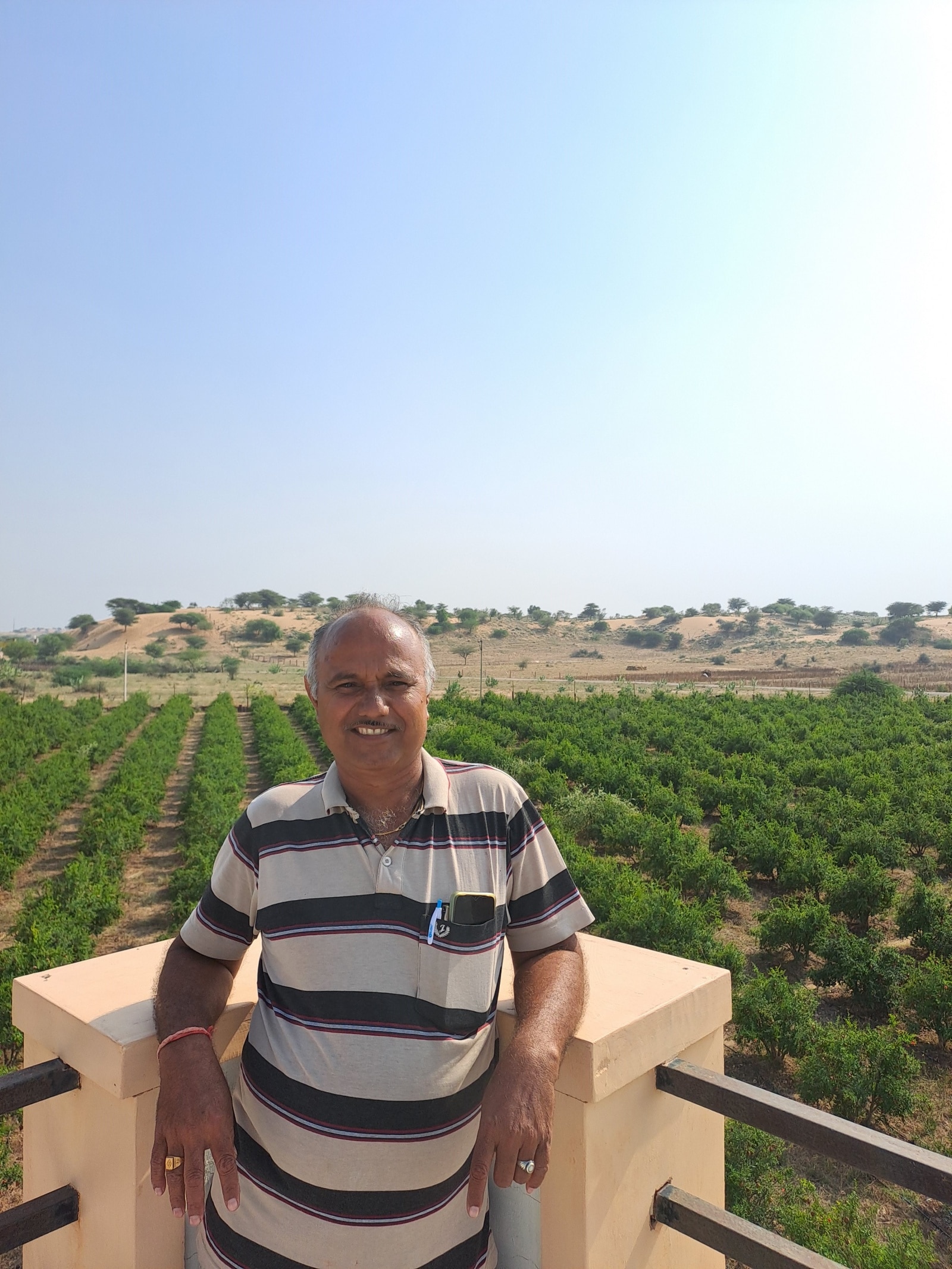Farmer Raghunath Krishnaram Kumawat at his pomagranate orchard in Dechu