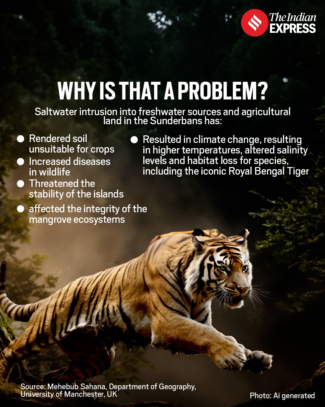 Why are the Sunderbans under threat