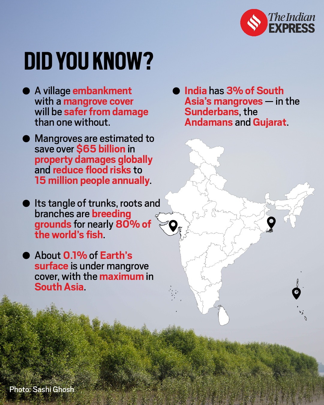Why are the Sunderbans under threat