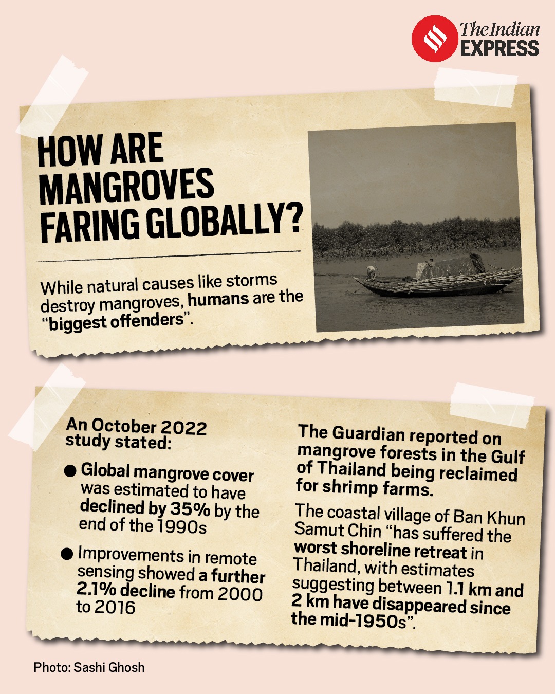 Why are the Sunderbans under threat