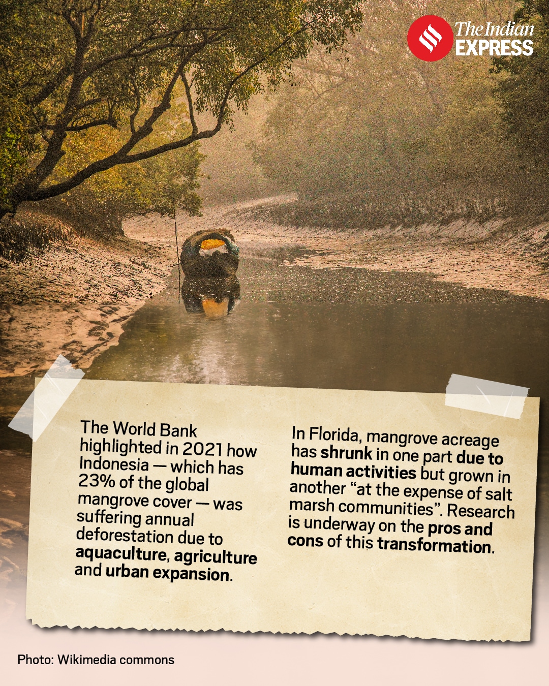 Why are the Sunderbans under threat