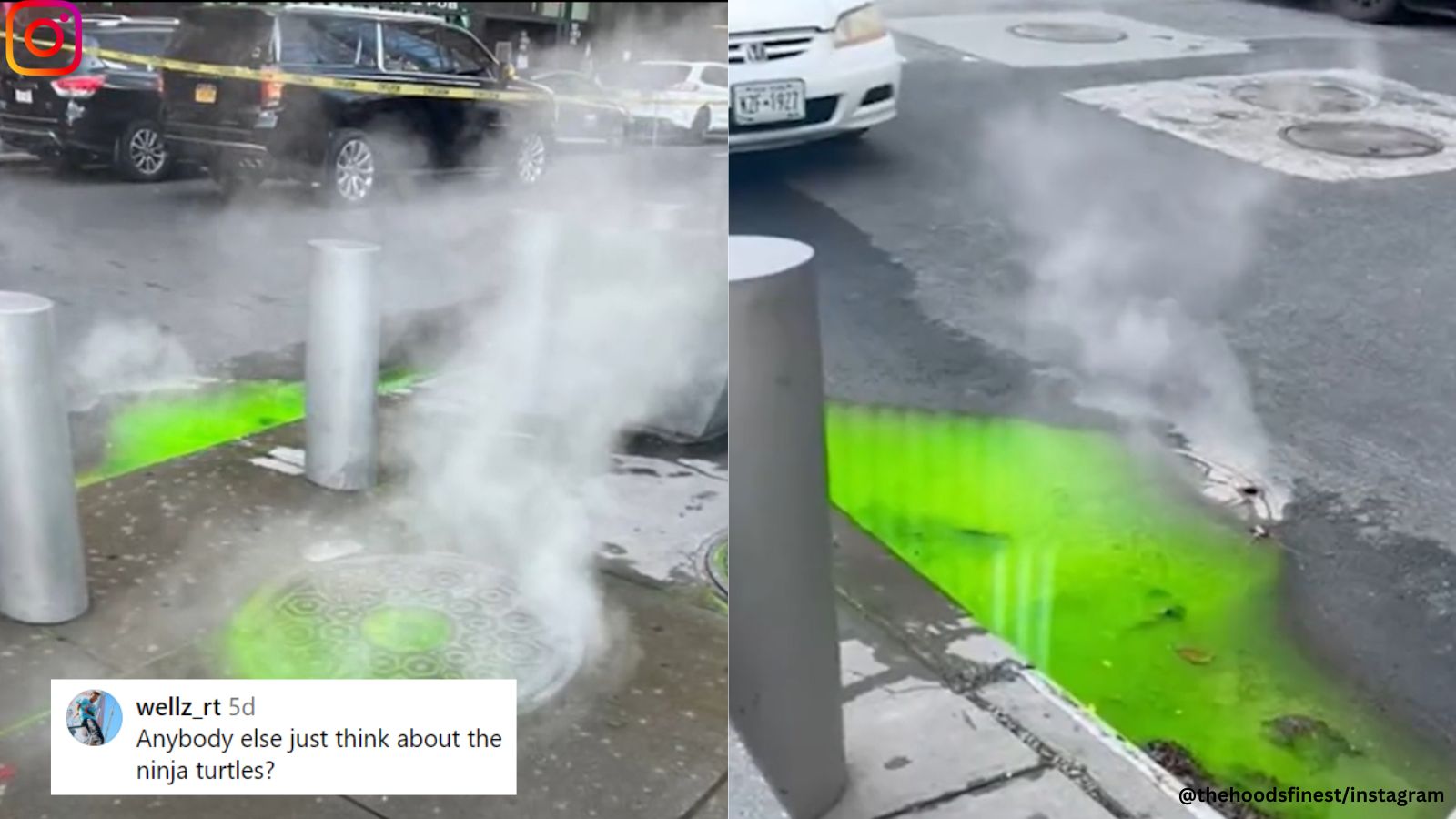 ‘The Ninja Turtles are back’ Mysterious green liquid oozes out of