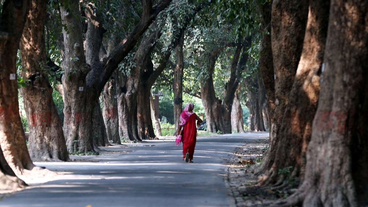 IIT BHU protest, Varanasi, IIT BHU molestation, Uttar Pradesh, students protest, iit bhu student molestation, Uttar Pradesh news, UP news, indian express news