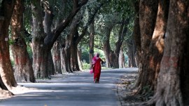 IIT BHU protest, Varanasi, IIT BHU molestation, Uttar Pradesh, students protest, iit bhu student molestation, Uttar Pradesh news, UP news, indian express news