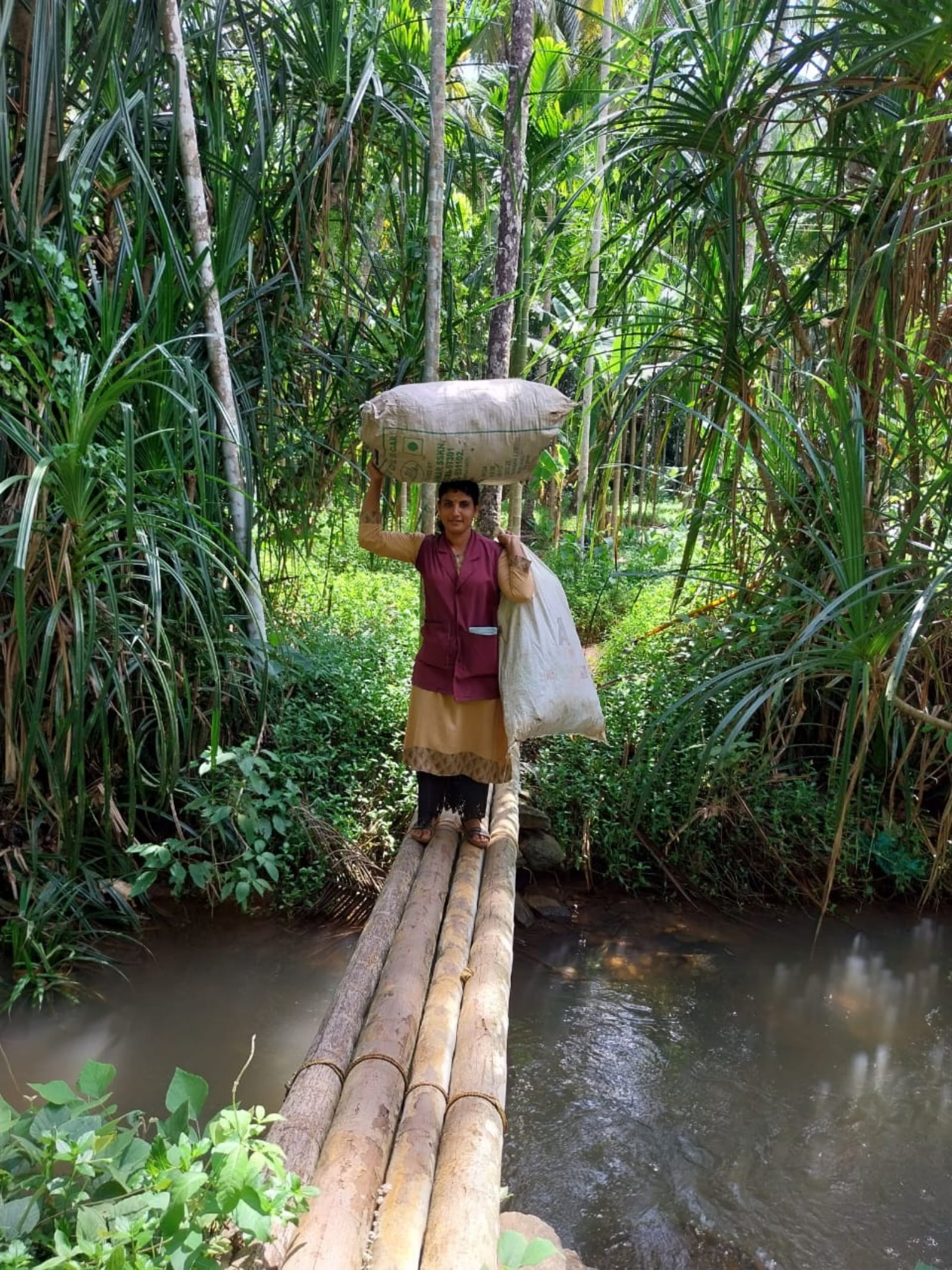 Rags to riches: In Kerala, picking waste is helping women earn thousands