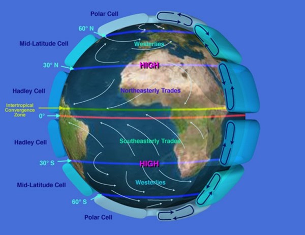 Depiction of global atmospheric circulation, showing major convection cells at various latitudes, including Hadley, mid-latitude and polar cells, and showing the resulting surface winds. 