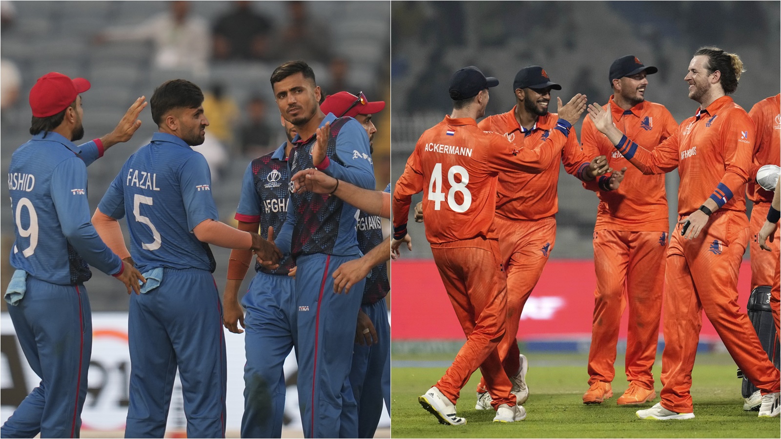 NED vs AFG Live Streaming, World Cup 2023 When and where to watch