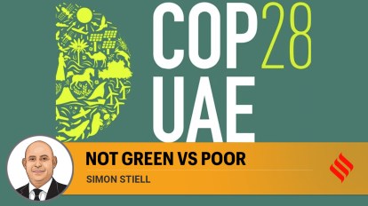 COP 28: Como as marcas podem se preparar para 2025?