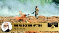 rice of the matter