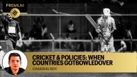 cricket