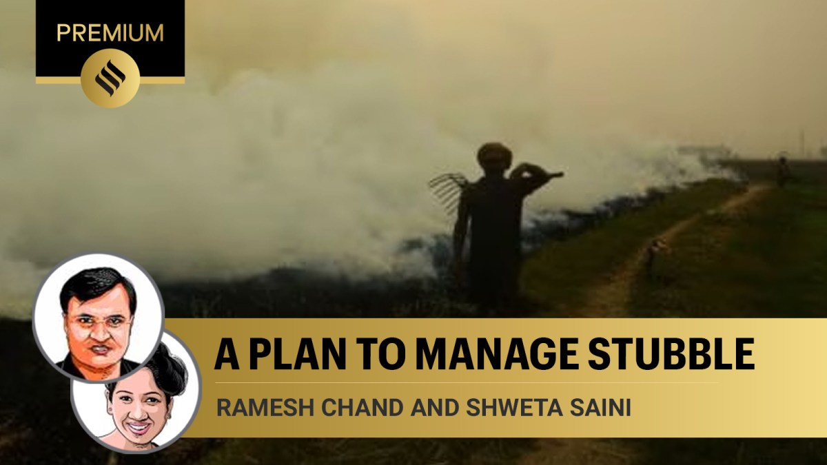 ramesh chand and shweta saini write on the possible solutions to india's stubble burning and farm fires problem