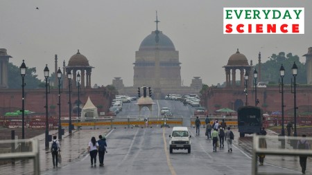 People move on the Kartavya Path after overnight rain, in New Delhi, Friday, Nov. 10, 2023. Overnight rain led to a rapid improvement in Delhi's air quality on Friday morning and cleared the haze that had been lingering for over 10 days.