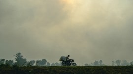 Punjab farm fires, Punjab farmfires, Punjab smog, delhi air, dehi aqi, Delhi air pollution, Delhi air quality, India news, Indian express, Indian express India news, Indian express India