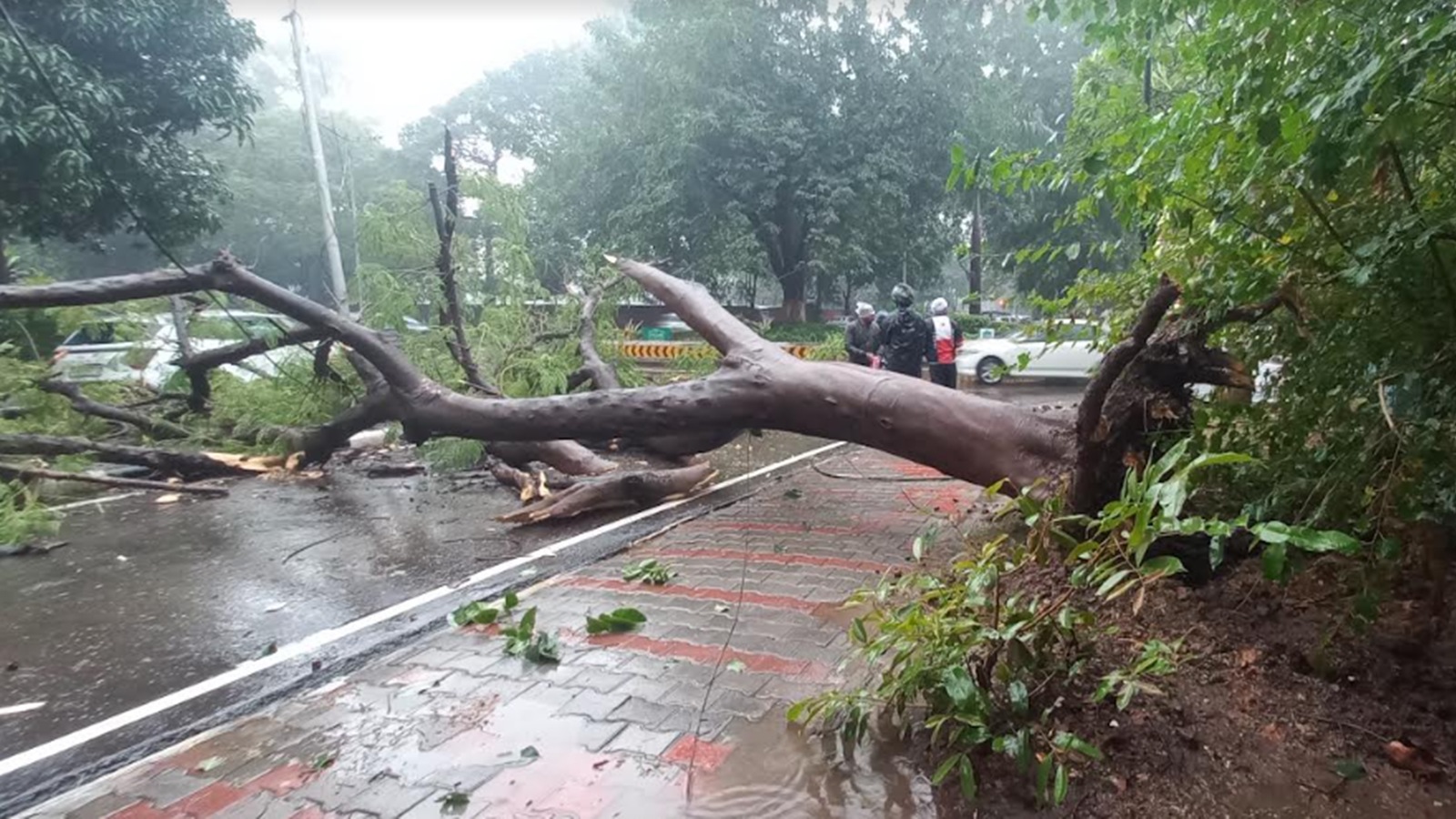 Screenshot 2023-11-30 221337