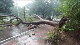 Screenshot 2023-11-30 221337