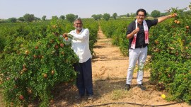 Social entrepreneur Bhagirath Chaudhary with pomegranate farmer Chandraprakash Mali
