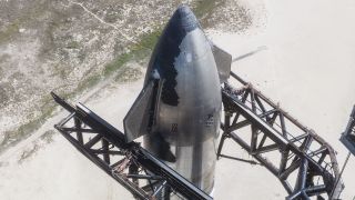 SpaceX's Starship rocket