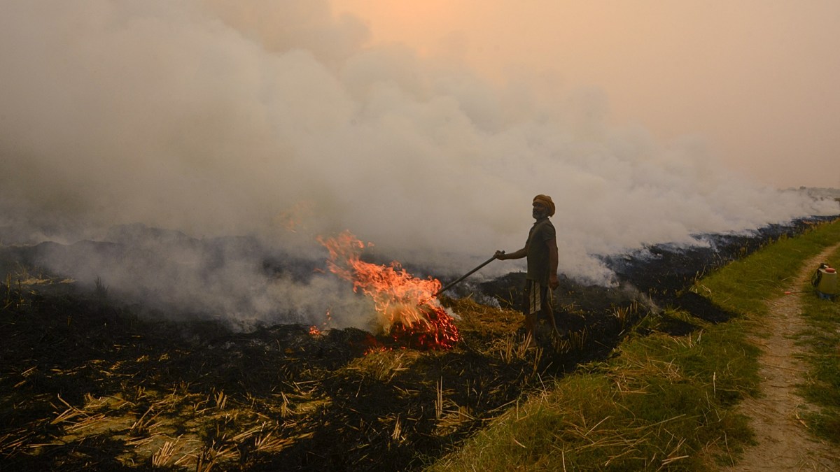 Punjab Stubble burning SC case