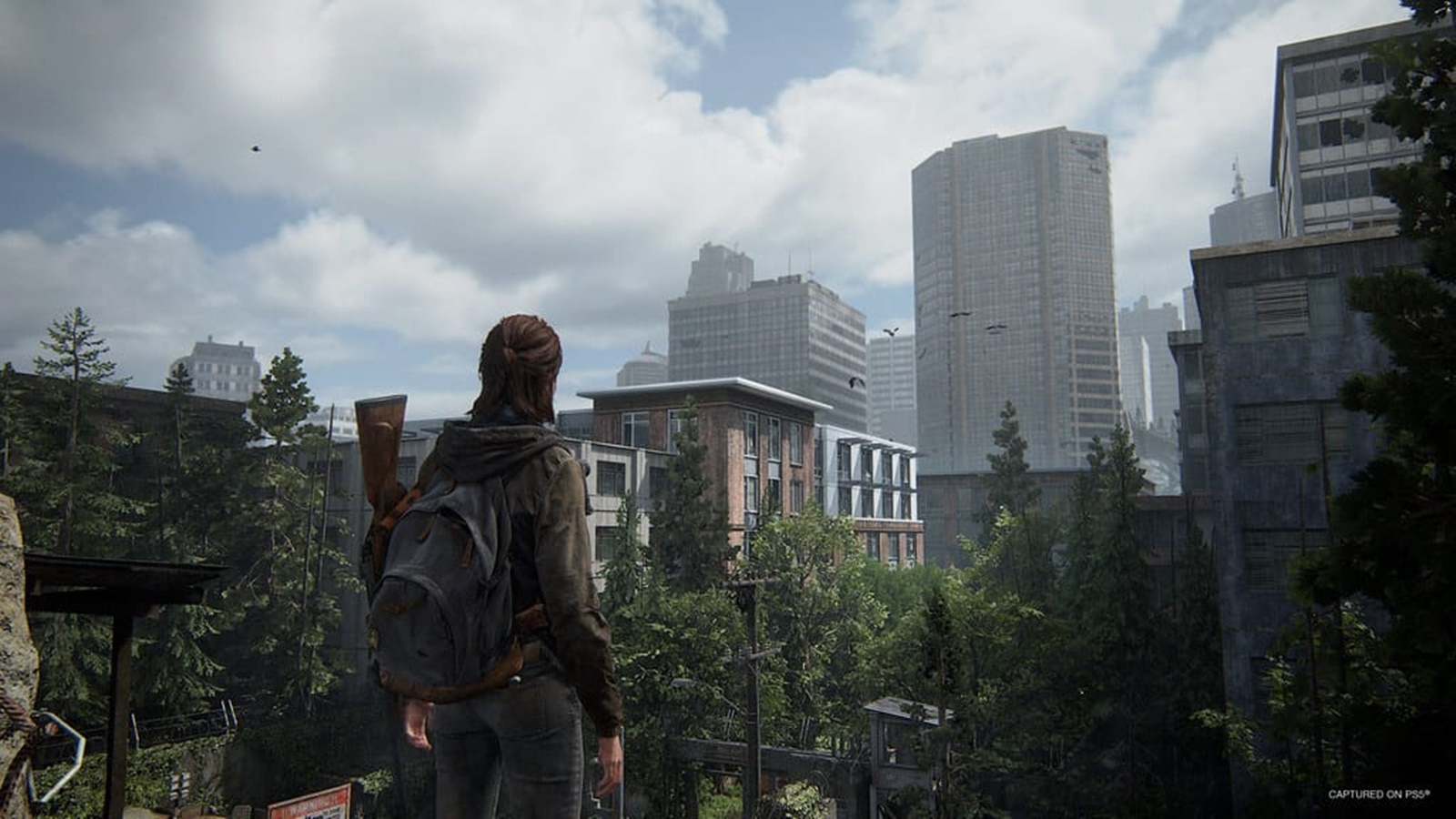 Sony announces The Last of Us Part II Remastered, out in January