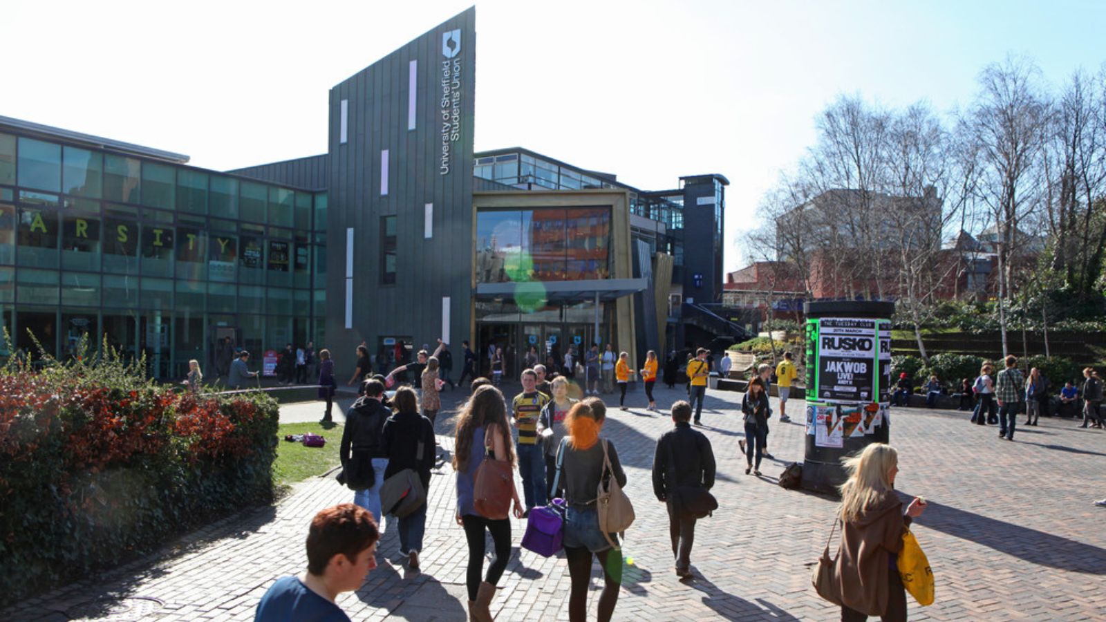 University of sheffield. Шеффилдский университет Великобритания внутри. Современные школы в Шеффилде внутри. The University of Sheffield ranking. Students Union.