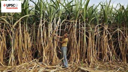 UPSC Daily subject-wise quiz : Economy (Week 33)