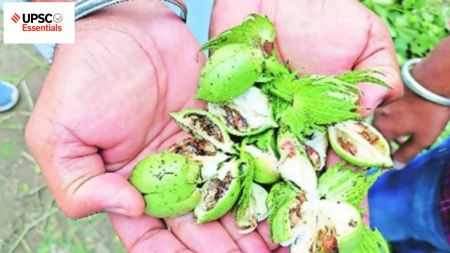 UPSC Daily subject-wise quiz : Economy (Week 34)