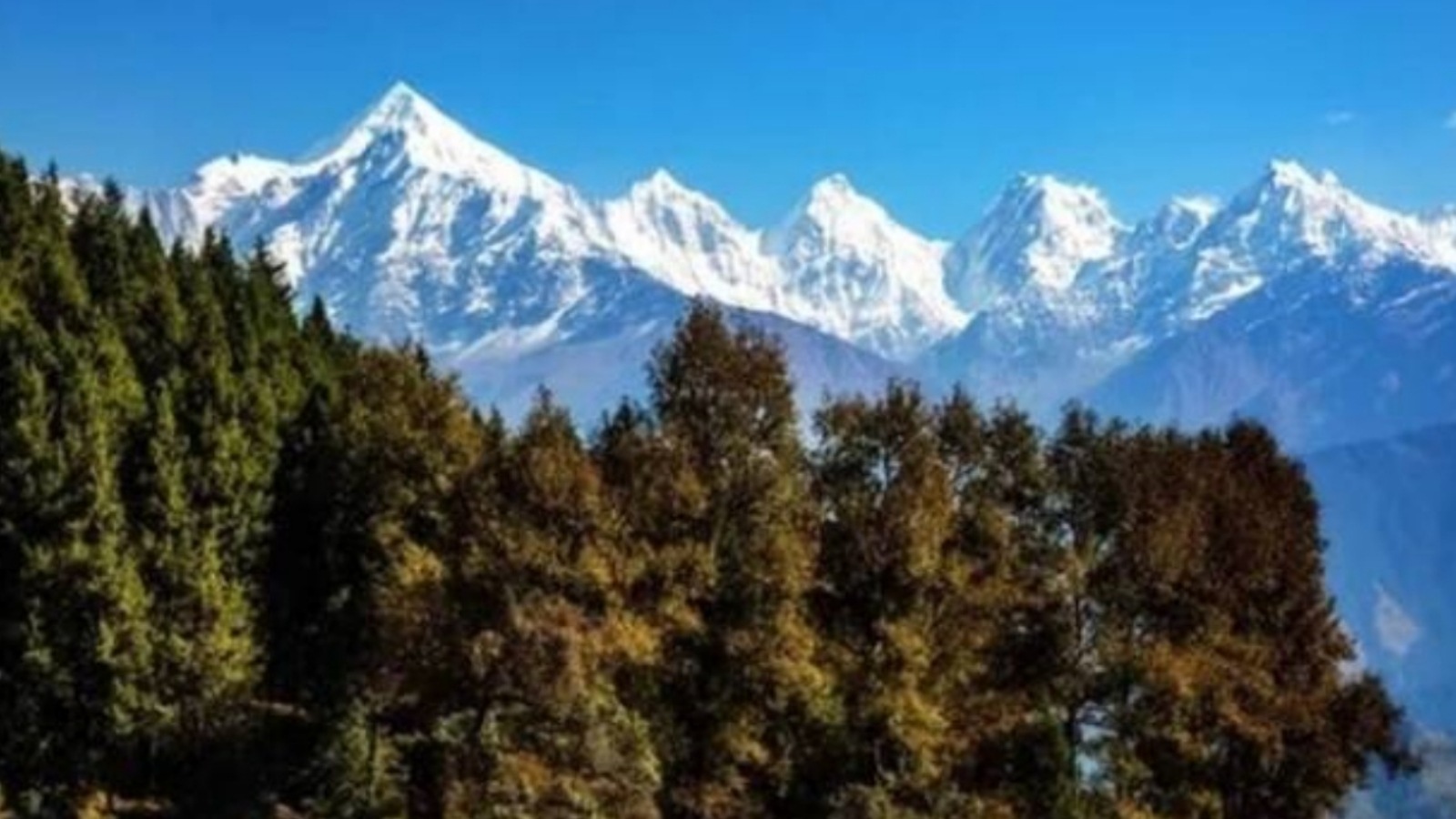 families evicted from Kabul House, Kabul House, Uttarakhand government, Dehradun, India news, Indian express, Indian express India news, Indian express India