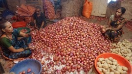government sitting on onion buffer stock