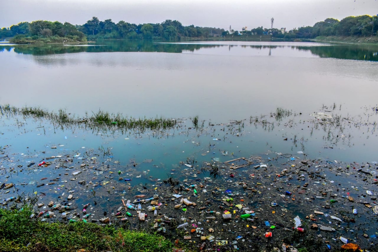 lakes of bengaluru